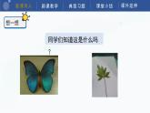 教科版科学四年级下册 3.4《制作岩石和矿物标本》课件