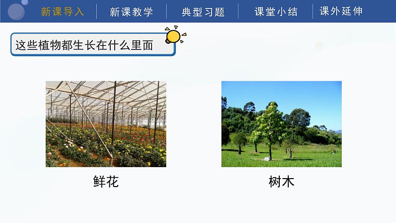 教科版科学四年级下册 3.6《观察土壤》课件04