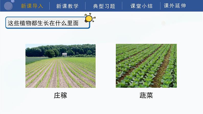 教科版科学四年级下册 3.6《观察土壤》课件05