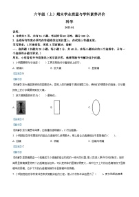 2022-2023学年广东省深圳市罗湖区教科版六年级上册期末考试科学试卷（解析版）