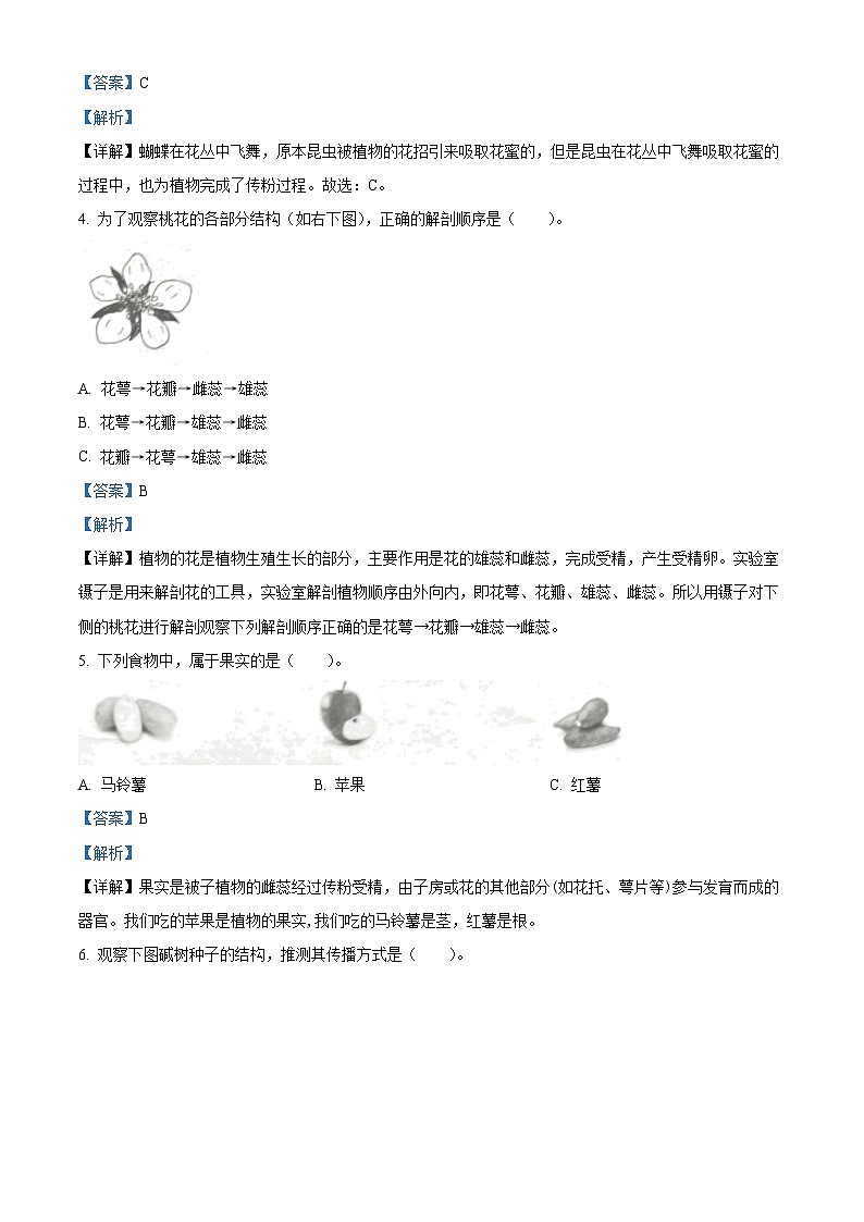 2022-2023学年浙江省台州市路桥区教科版四年级下册期末考试科学试卷（解析版）第2页