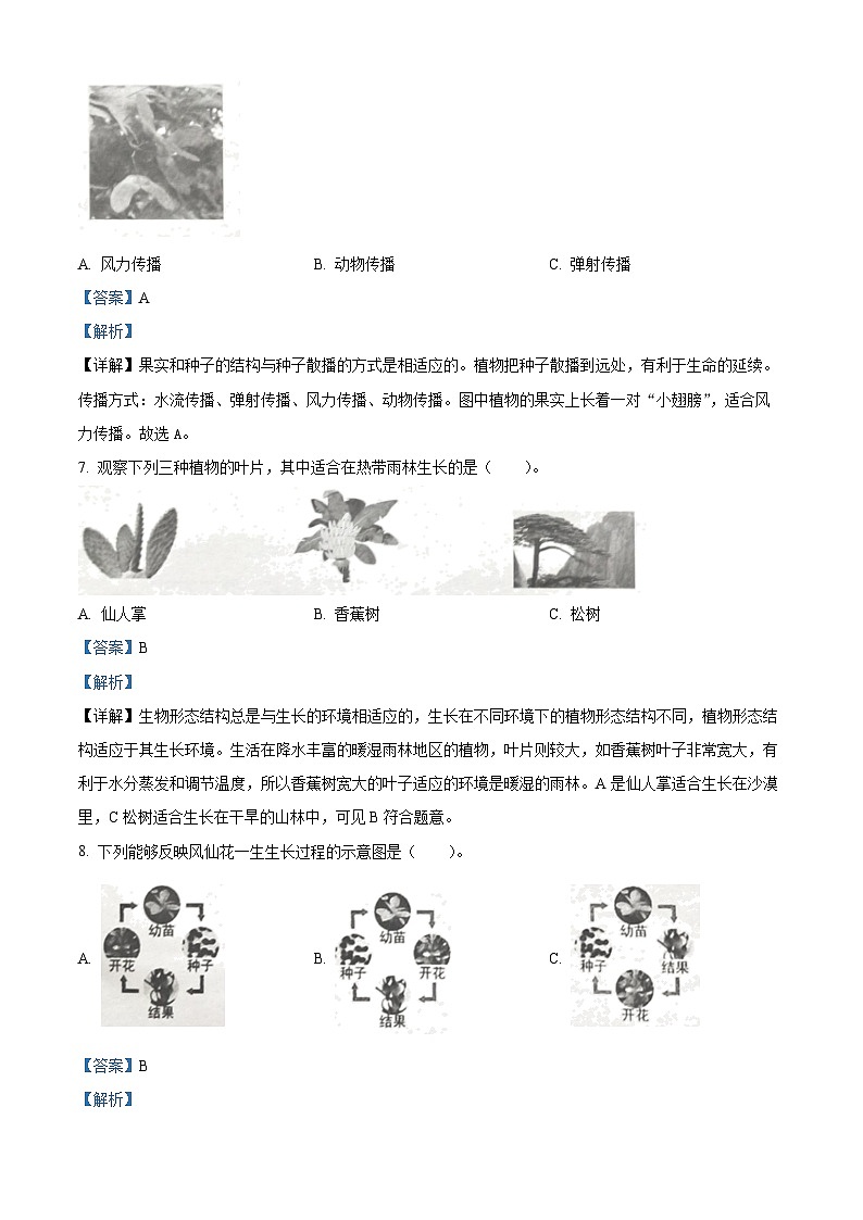 2022-2023学年浙江省台州市路桥区教科版四年级下册期末考试科学试卷（解析版）第3页