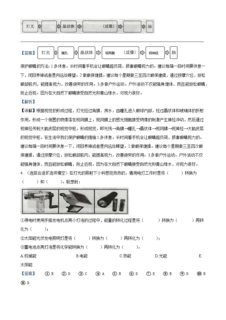 2022-2023学年山东省枣庄市山亭区青岛版六年级下册期末考试科学试卷（解析版）02