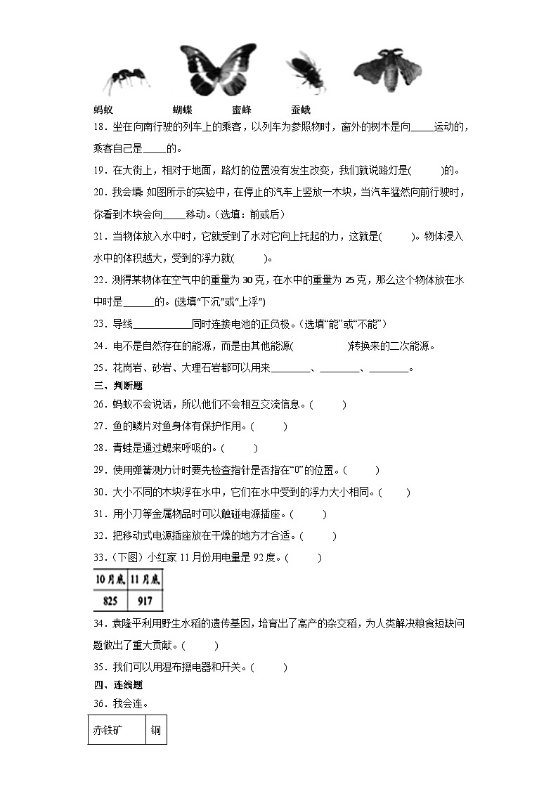 （期末押题卷）+高频易错必刷卷（四）++2023-2024学年++四年级上册科学+（苏教版）03