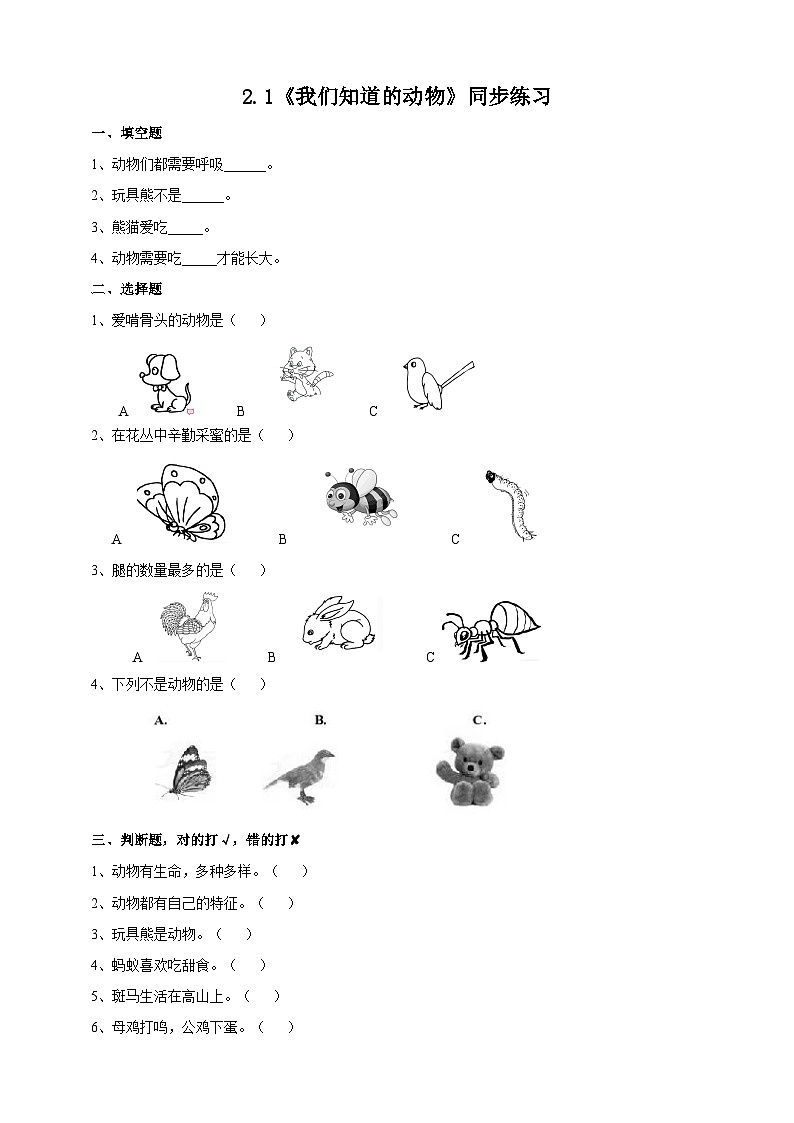 2.1《我们知道的动物》练习01