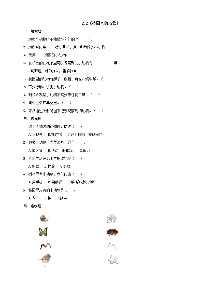 2.2《校园里的动物》练习第1页