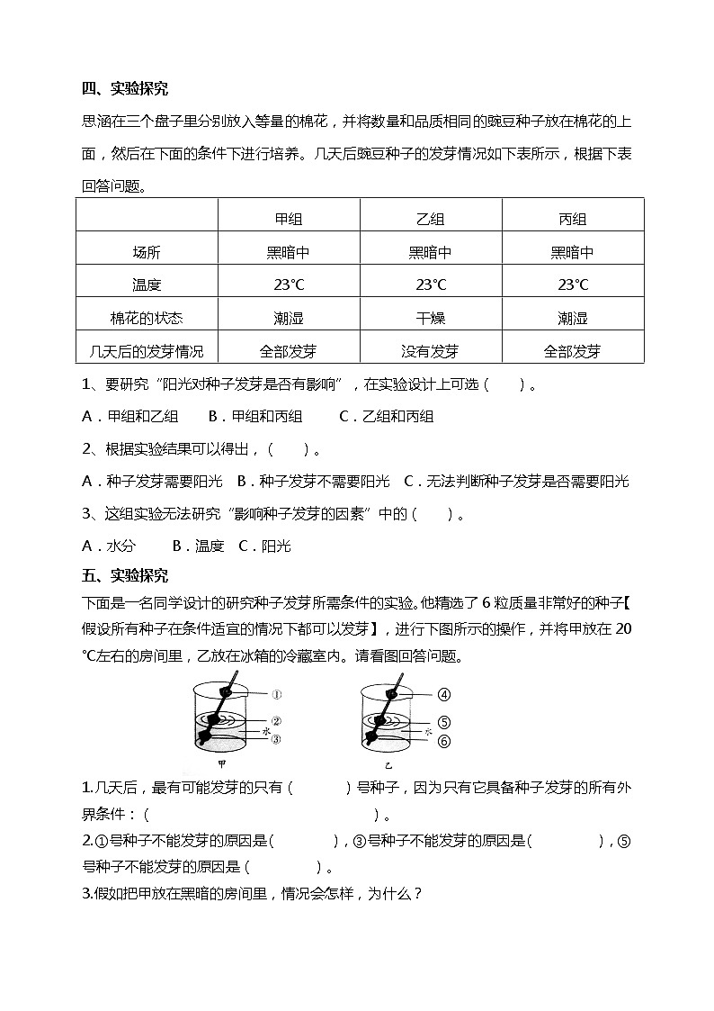 1.2《比较种子发芽实验》试题（含答案解析）教科版五年级科学下册第2页