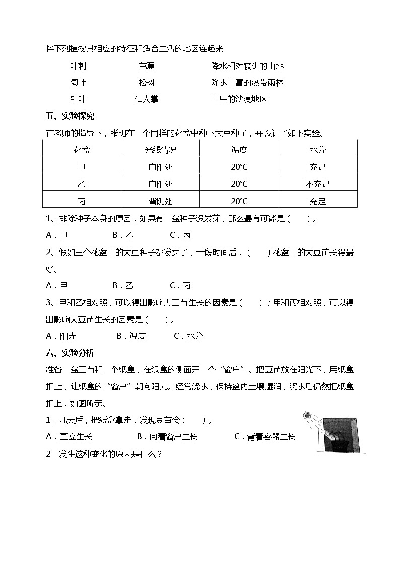 1.3《绿豆苗的生长》试题（含答案解析）教科版五年级科学下册第2页