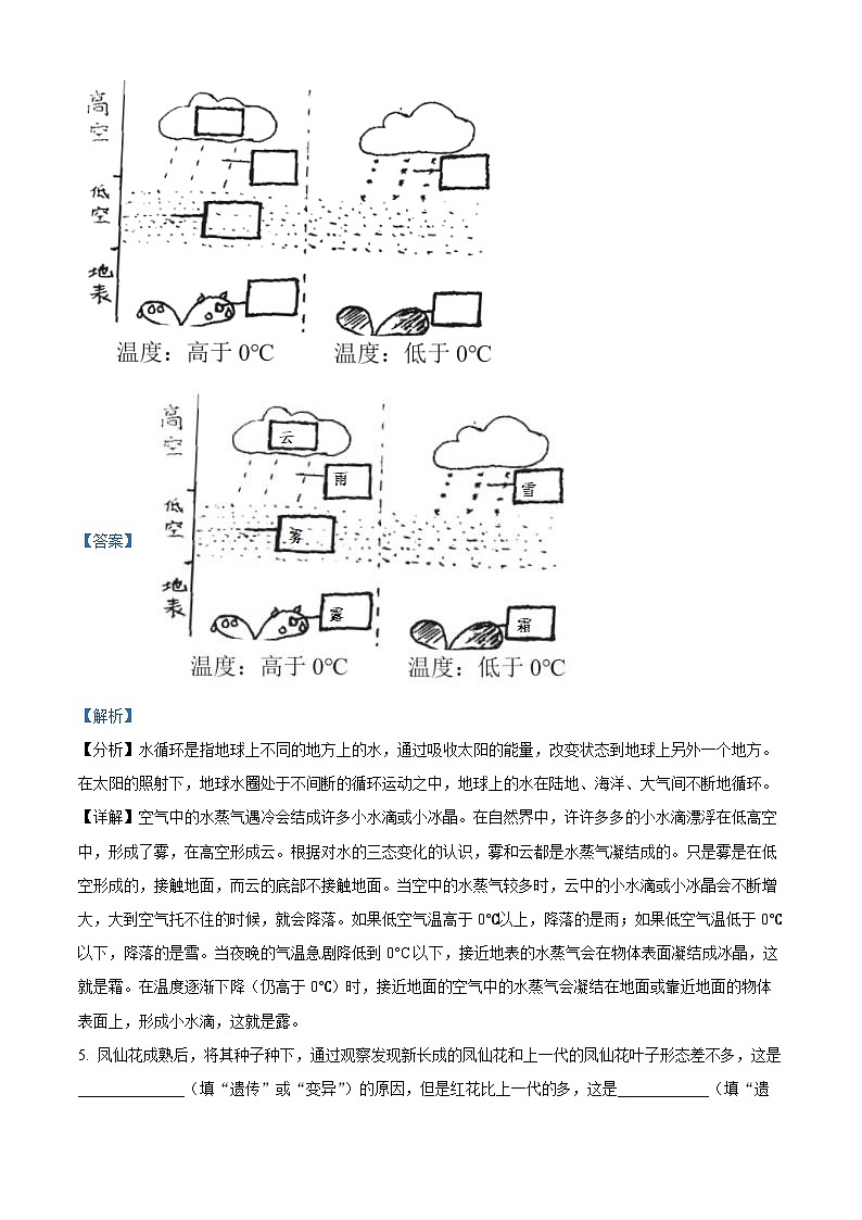 2022-2023学年河南省郑州市管城区大象版六年级上册期末考试科学试卷02