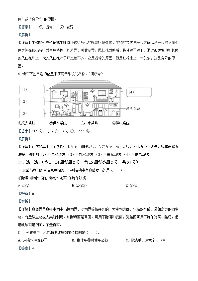 2022-2023学年河南省郑州市管城区大象版六年级上册期末考试科学试卷03