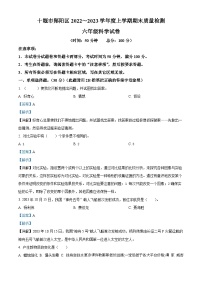 2022-2023学年湖北省十堰市郧阳区苏教版六年级上册期末考试科学试卷