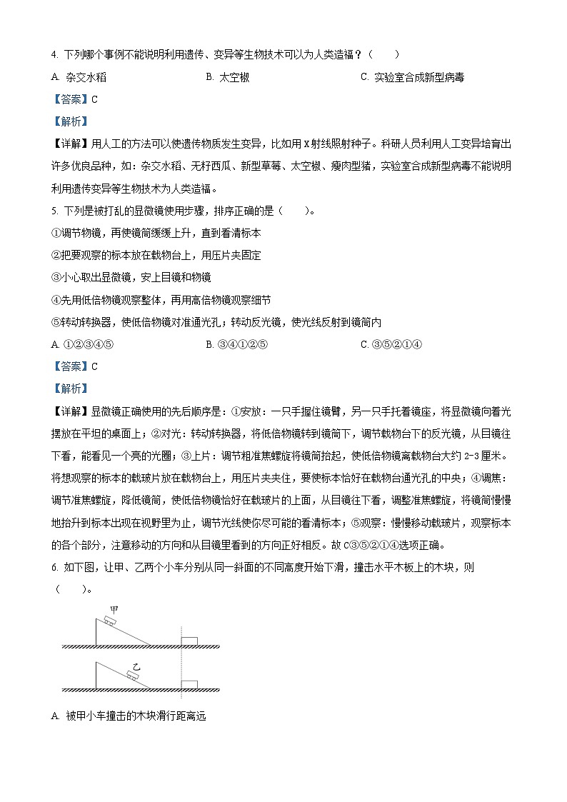 2022-2023学年河南省郑州市惠济区大象版六年级上册期末考试科学试卷02