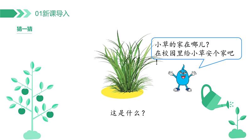 【核心素养】冀人版小学科学二年级下册 8.给小草安个家  课件+教案（含教学反思）04