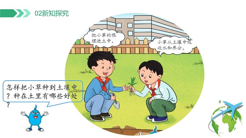 【核心素养】冀人版小学科学二年级下册 8.给小草安个家  课件+教案（含教学反思）07