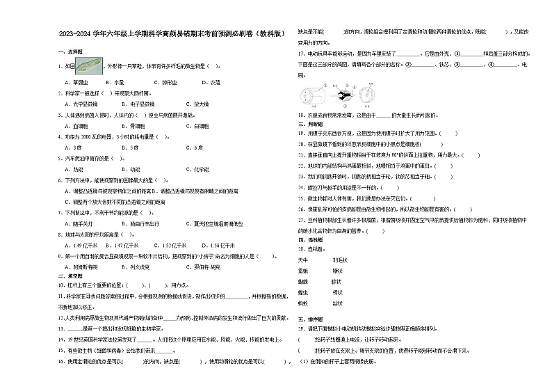 浙江省杭州市2023-2024学年六年级上学期科学高频易错期末考前卷（教科版）第1页