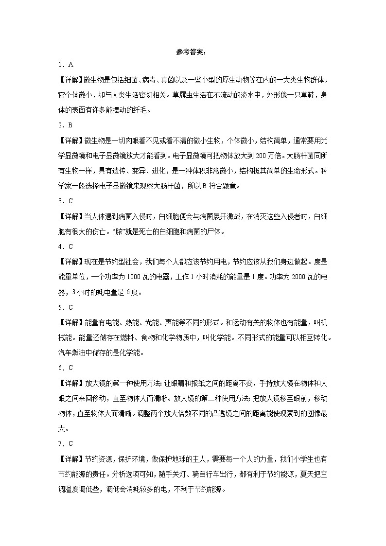 浙江省杭州市2023-2024学年六年级上学期科学高频易错期末考前卷（教科版）第3页