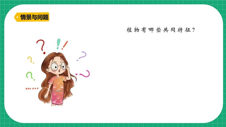 【核心素养】冀教版小学科学三年级下册    2.树与草  课件+教案(含教学反思)05