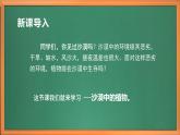 苏教版小学科学三年级下册第二单元《6.沙漠中的植物》课件+教案+视频+作业