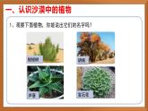 苏教版小学科学三年级下册第二单元《6.沙漠中的植物》课件+教案+视频+作业