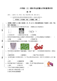 广东省深圳市罗湖区2023-2024学年三年级上学期期末科学试题