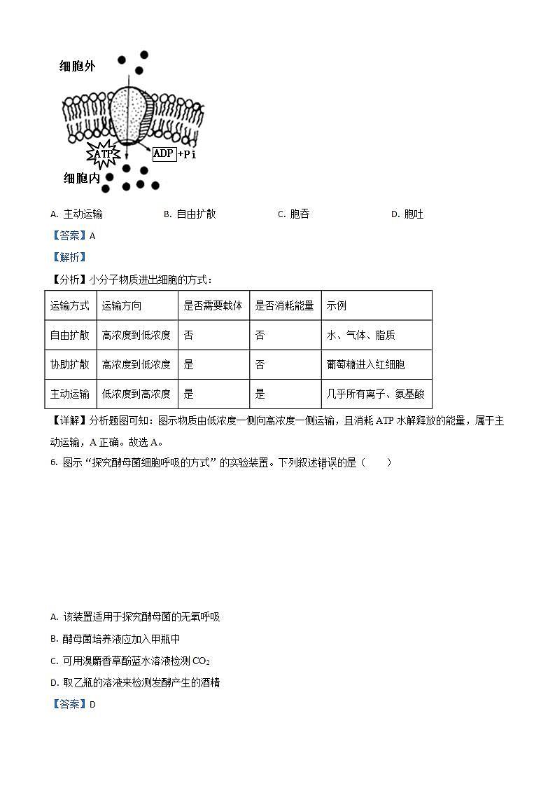 天津市天津市蓟州区2023-2024学年五年级上学期1月期末科学试题第3页