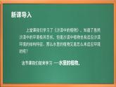 苏教版小学科学三年级下册第二单元《7.水里的植物》课件+教案+视频+作业