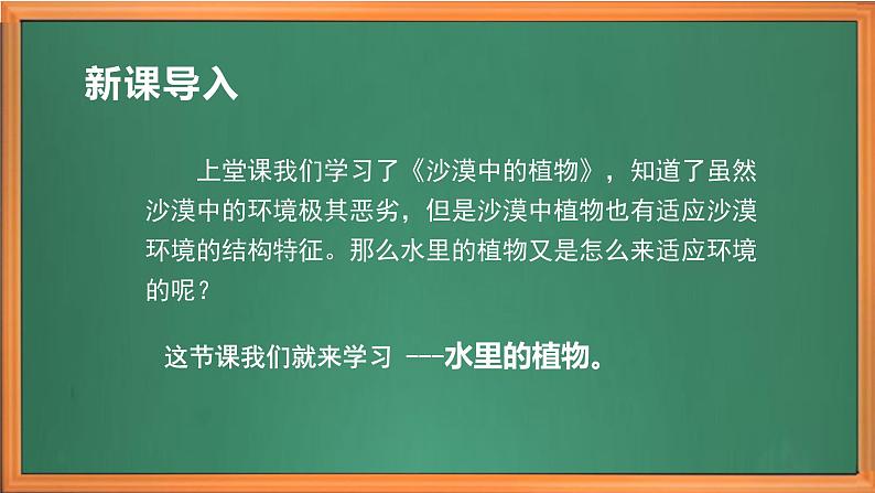 苏教版小学科学三年级下册第二单元《7.水里的植物》课件+教案+视频+作业01