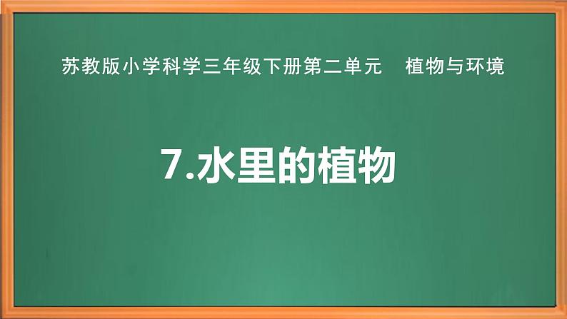 苏教版小学科学三年级下册第二单元《7.水里的植物》课件+教案+视频+作业02