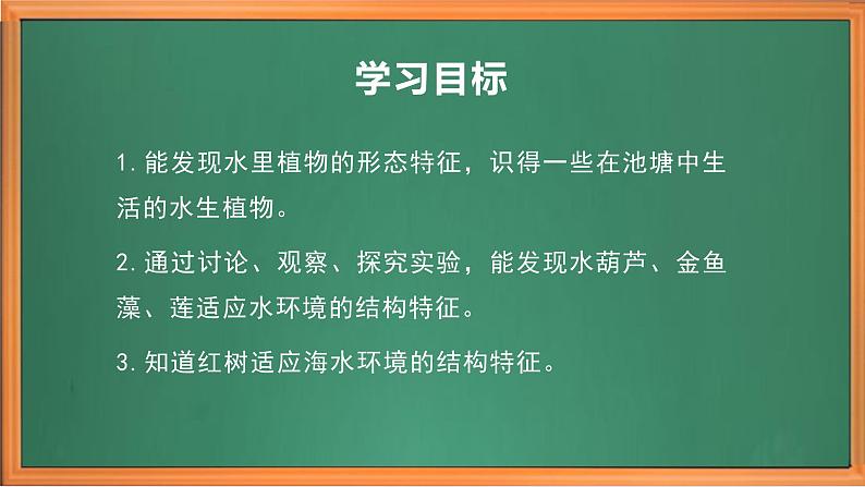 苏教版小学科学三年级下册第二单元《7.水里的植物》课件+教案+视频+作业03