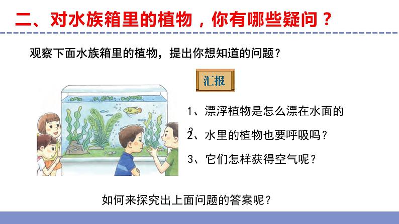 苏教版小学科学三年级下册第二单元《7.水里的植物》课件+教案+视频+作业07