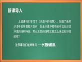 苏教版小学科学三年级下册第二单元《7.水里的植物》课件+教案+视频+作业