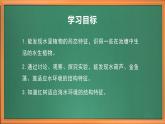 苏教版小学科学三年级下册第二单元《7.水里的植物》课件+教案+视频+作业
