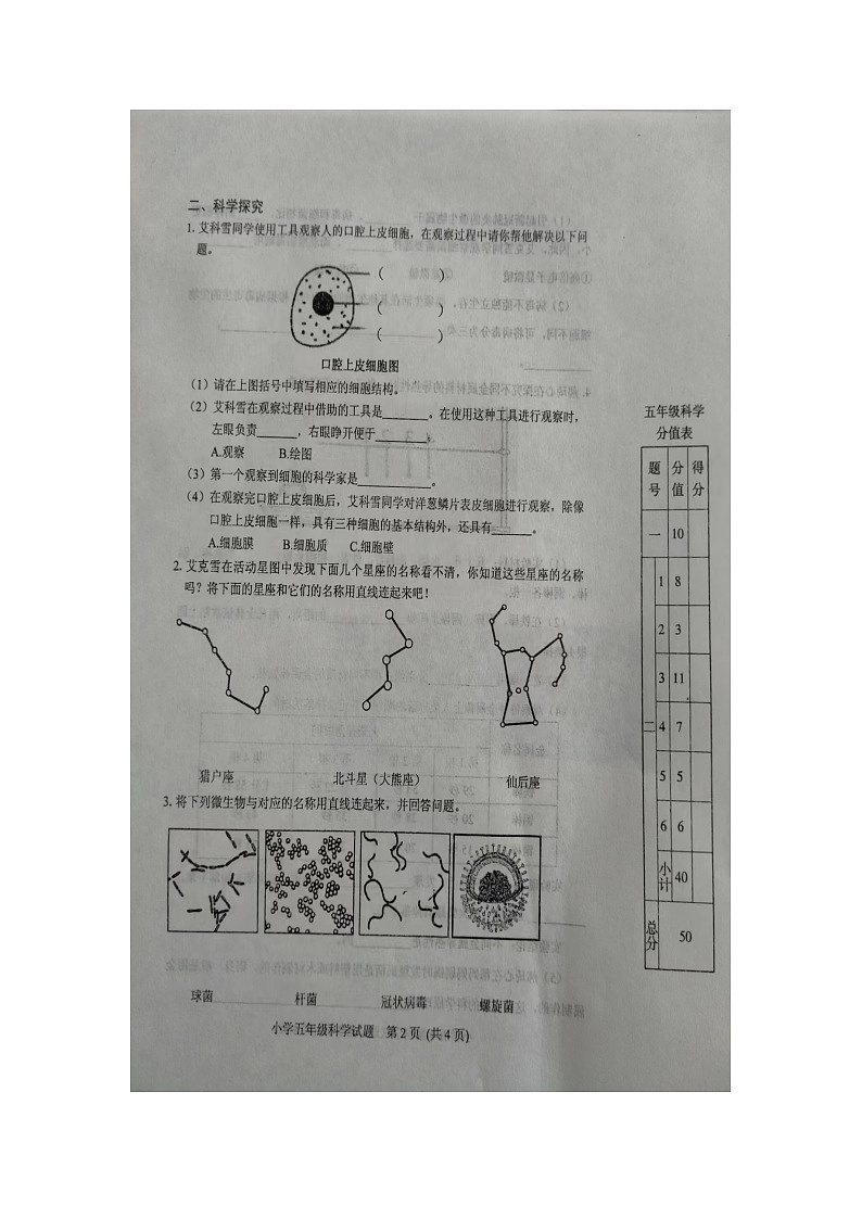 山东省泰安市肥城市2023-2024学年五年级上学期期末科学试题02
