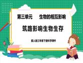 【核心素养】冀教版小学科学三年级下册   13.筑路影响生物生存     课件+教案(含教学反思)