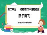 【核心素养】冀教版小学科学三年级下册   7.燕子南飞     课件+教案(含教学反思)