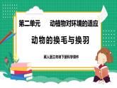 【核心素养】冀教版小学科学三年级下册   8.动物的换毛与换羽     课件+教案(含教学反思)