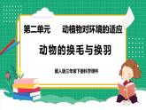 【核心素養(yǎng)】冀教版小學科學三年級下冊   8.動物的換毛與換羽     課件+教案(含教學反思)