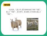 【核心素養(yǎng)】冀教版小學科學三年級下冊   8.動物的換毛與換羽     課件+教案(含教學反思)