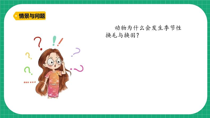 【核心素养】冀教版小学科学三年级下册   8.动物的换毛与换羽     课件+教案(含教学反思)05