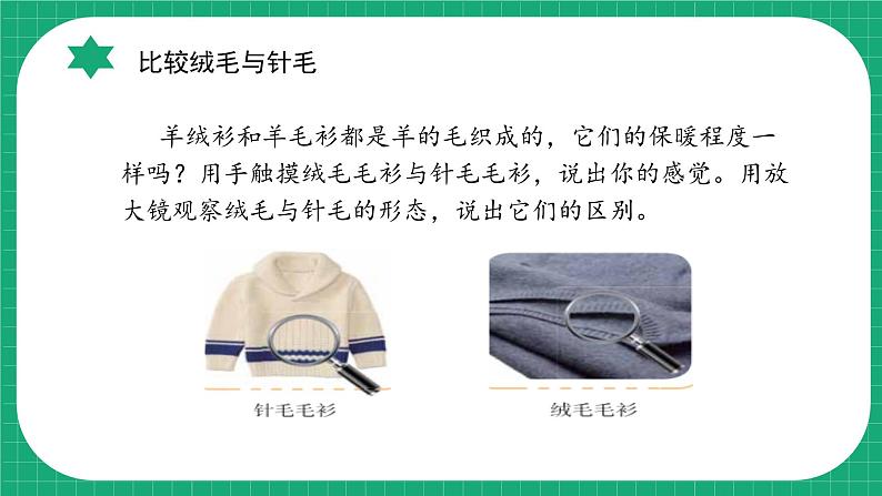 【核心素养】冀教版小学科学三年级下册   8.动物的换毛与换羽     课件+教案(含教学反思)07