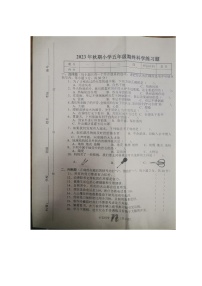 河南省南阳市南召县2023-2024学年五年级上学期1月期末科学试题