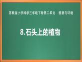 苏教版小学科学三年级下册第二单元《8.石头上的植物》课件+教案+视频+作业