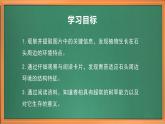 苏教版小学科学三年级下册第二单元《8.石头上的植物》课件+教案+视频+作业