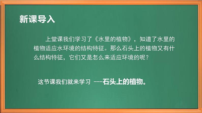 苏教版小学科学三年级下册第二单元《8.石头上的植物》课件+教案+视频+作业01