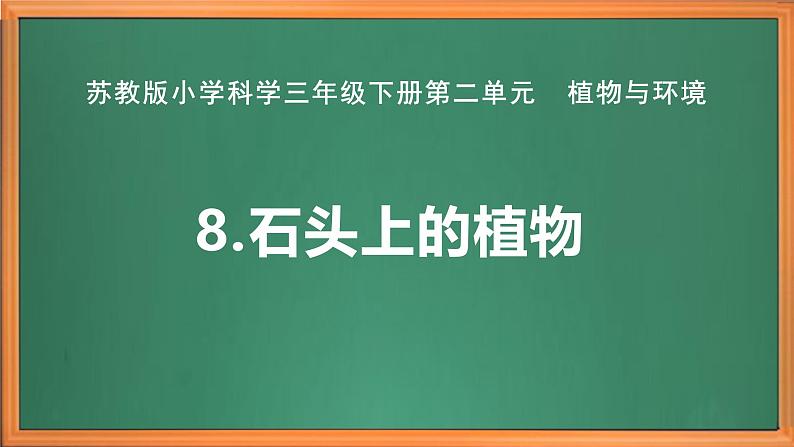 苏教版小学科学三年级下册第二单元《8.石头上的植物》课件+作业设计+视频第2页