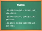 苏教版小学科学三年级下册第二单元《8.石头上的植物》课件+教案+视频+作业
