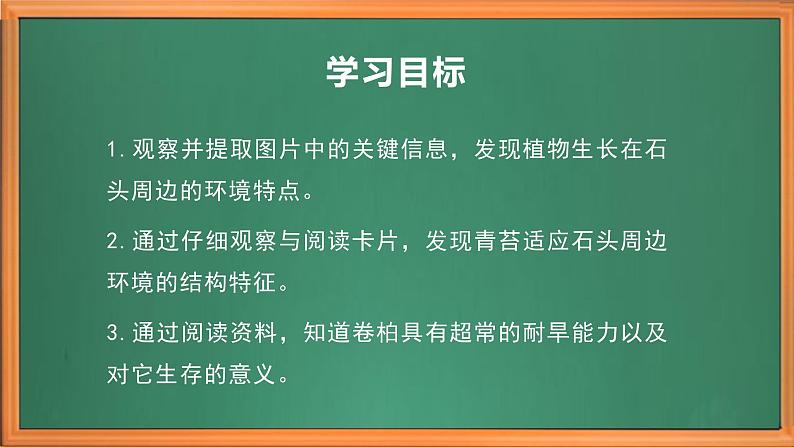 苏教版小学科学三年级下册第二单元《8.石头上的植物》课件+作业设计+视频第3页