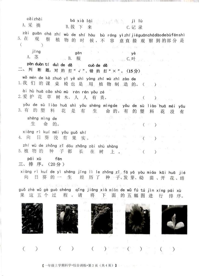 甘肃省定西市安定区2023-2024学年一年级上学期期中综合（科学+道德与法治）试卷02