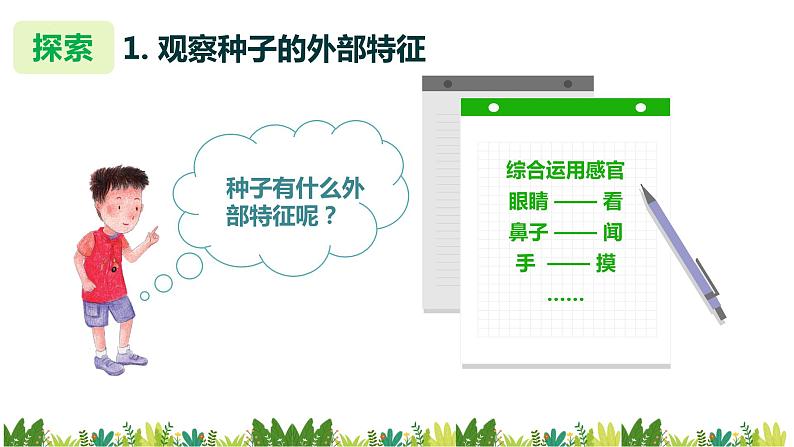 教科版科学四年级下册 1.1 种子里孕育着新生命 同步课件+教案+音视频素材07