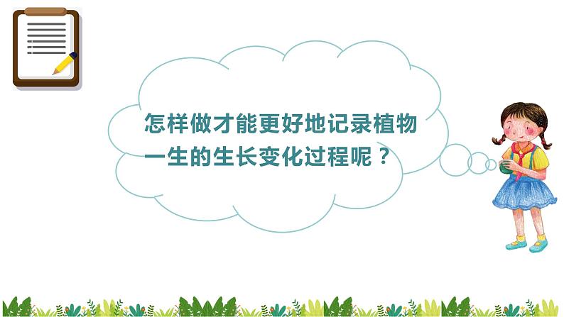 教科版科学四年级下册 1.2 种植凤仙花 同步课件+教案+音视频素材04